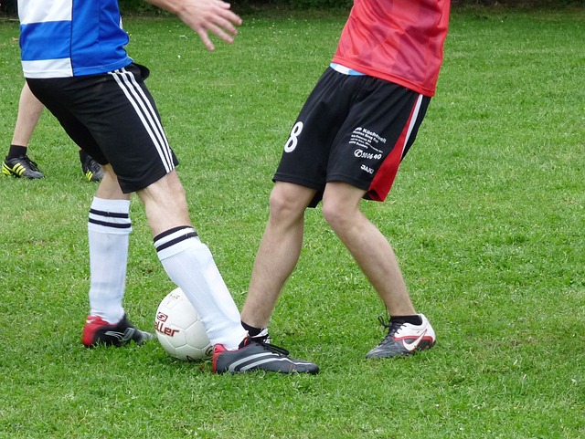 的赞誉吗 的赞誉吗