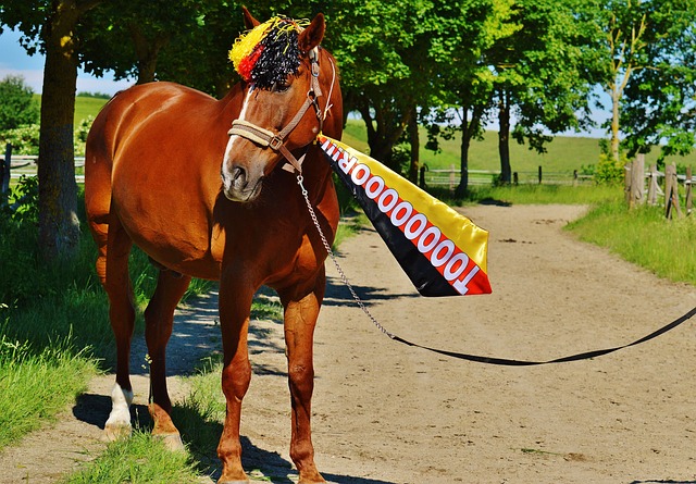 这不仅有助 这不仅有助