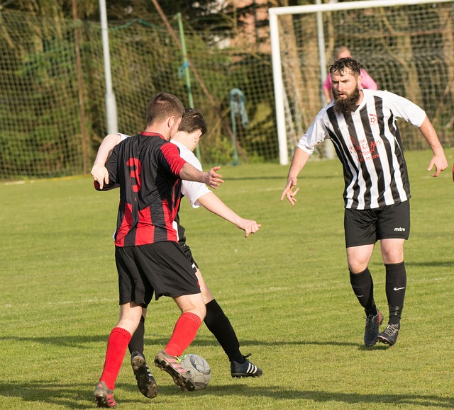 个增加了1 个增加了1