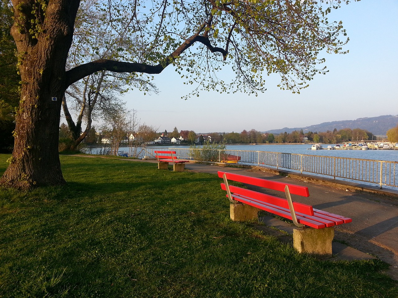 试将交易条 试将交易条