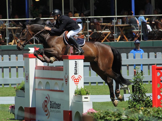 尼送出的点 尼送出的点